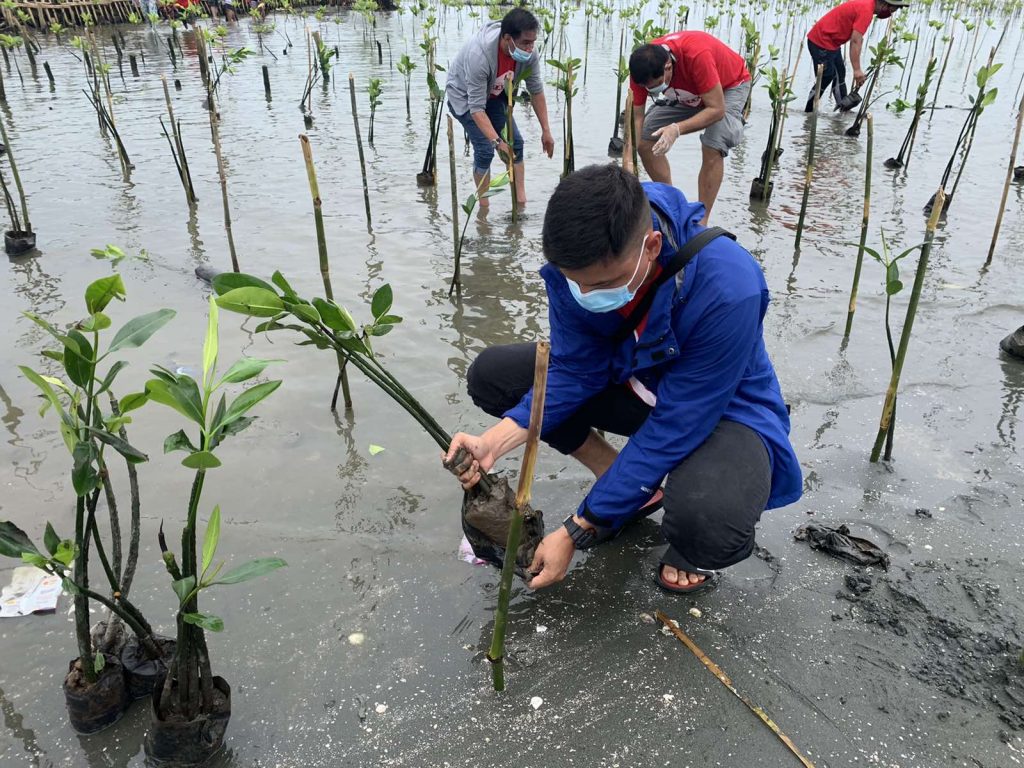 Phuket Team Building Activities – Making Teams – Team Building Thailand